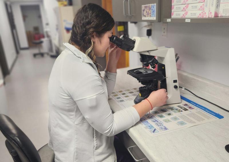 Carousel Slide 1: Our nurses work hard in many areas of the hospital, including reading cytologies in-house.