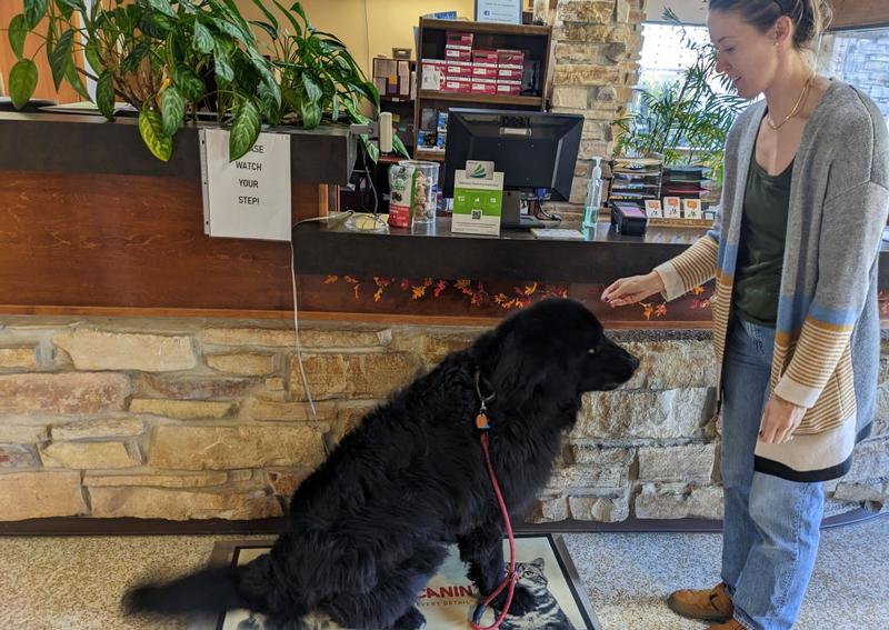 Carousel Slide 2: Bring your pet in today for a