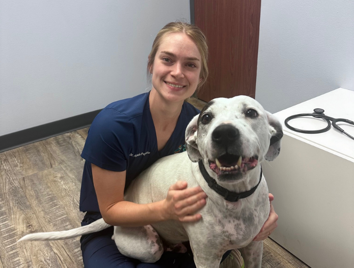 Preventive Care for Dogs